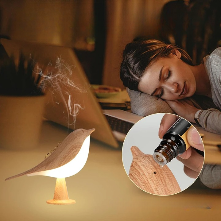 Diffuseur d'huiles essentiel