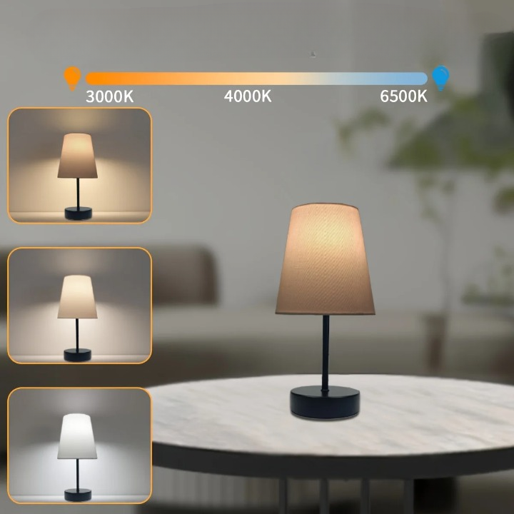 Variateur d'intensité 