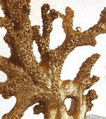 Lampe de chevet corail - Vignette | Aura Douce 