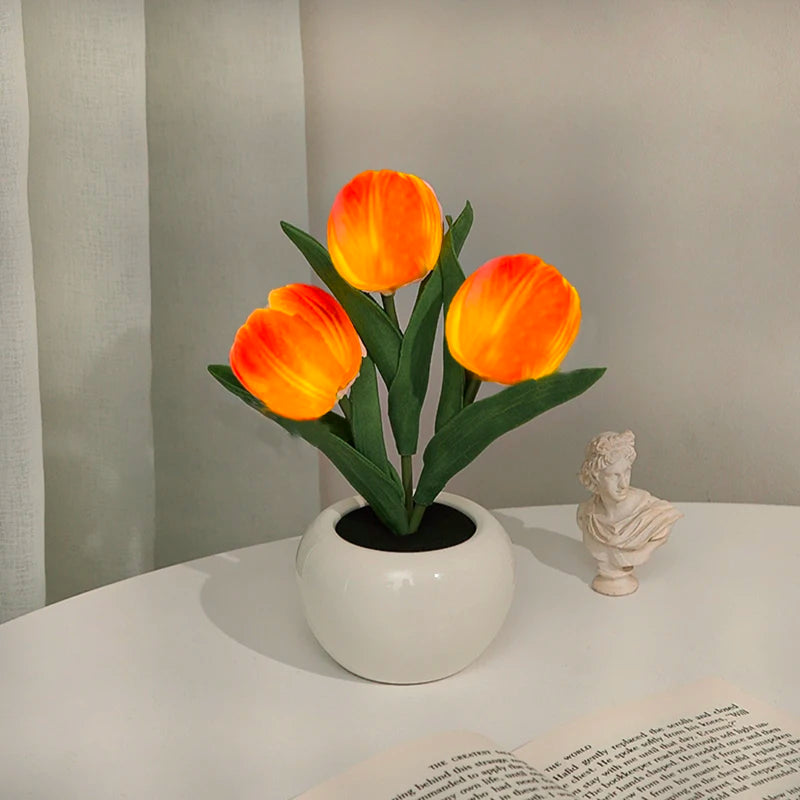 3 tulipes orange 