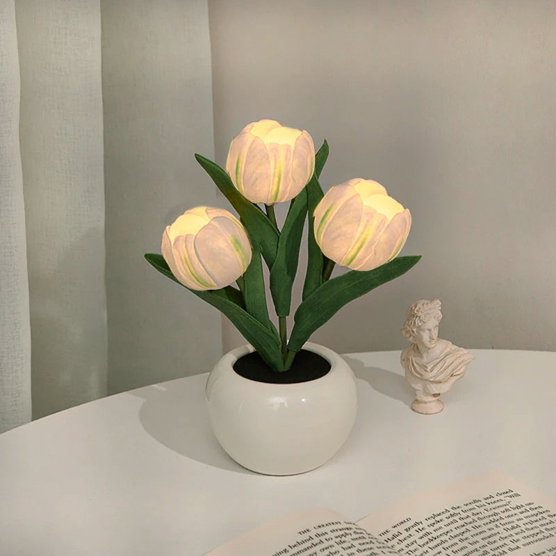 3 Tulipes blanche 