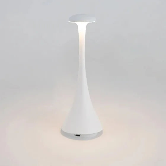 Lampe de chevet led rechargeable