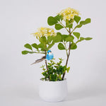 Lampe de chevet nature - Vignette | Aura Douce 