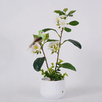 Lampe de chevet nature - Vignette | Aura Douce 