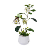 Lampe de chevet nature - Vignette | Aura Douce 