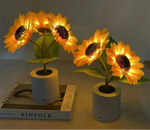 Lampe de chevet originales - Vignette | Aura Douce 